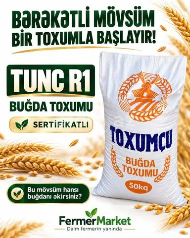 Buğda Tunc R1